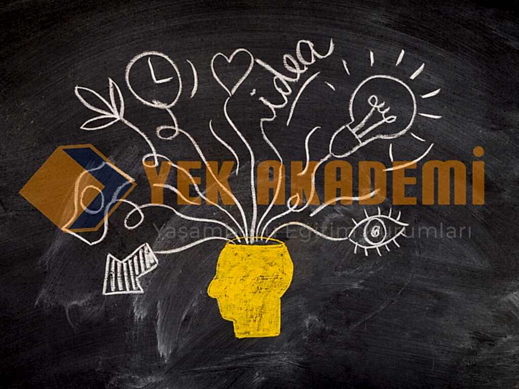 WISC-R Zeka Testi Eğitimi + WISC-R Materyal Kampanyası 2 WISC-R Zeka Testi Eğitimi, Üstün Zekalılar Eğitici Eğitimi