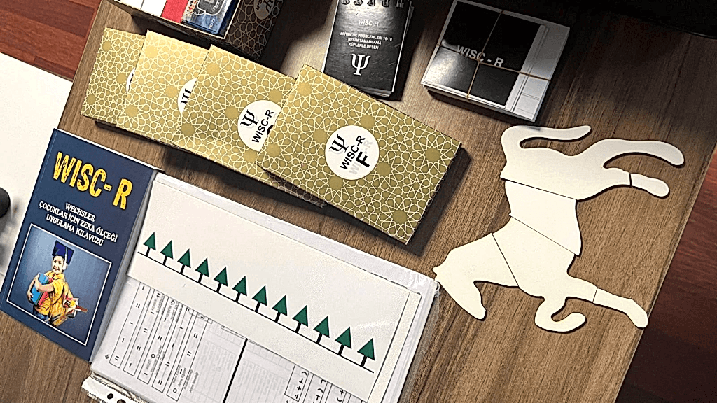 WISC-R Zeka Testi Eğitimi + WISC-R Materyal Kampanyası 4 wisc-r materyal